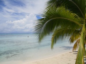 Le rêve Polynésien